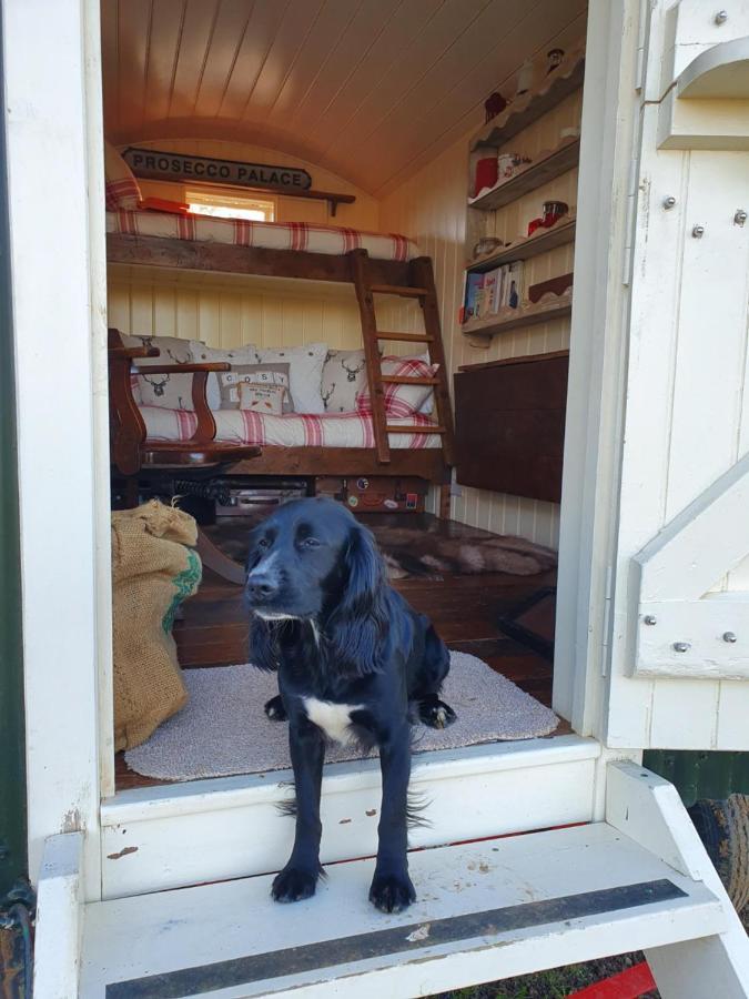 The Delkin Shepherds Huts Castle Combe Esterno foto